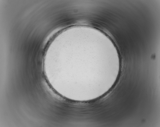 X0000113141123200910161149