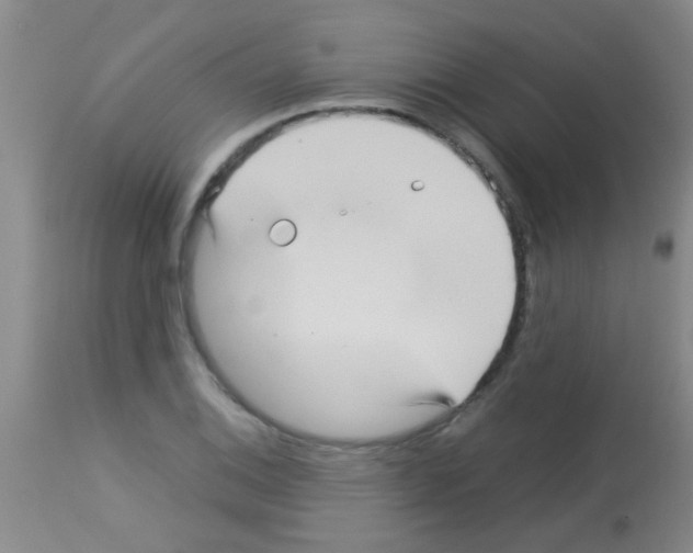 X0000113141124200910161149