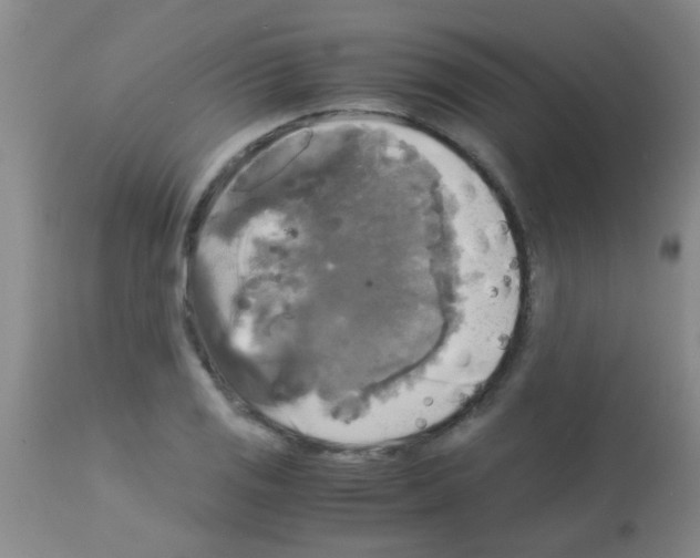 X0000113141125200910161149