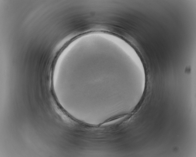 X0000113141127200910161149