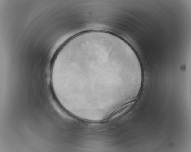 X0000113141128200910161149