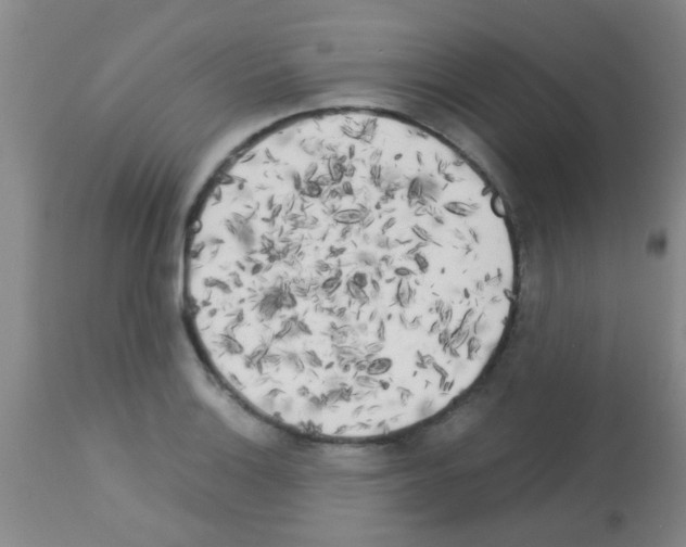 X0000113141132200910161149