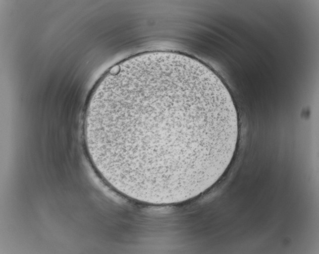 X0000113141134200910161149