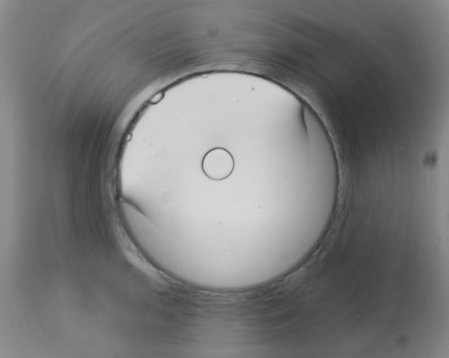 X0000113141136200910161150