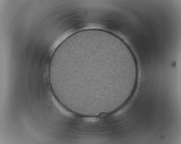 X0000113141137200910161150