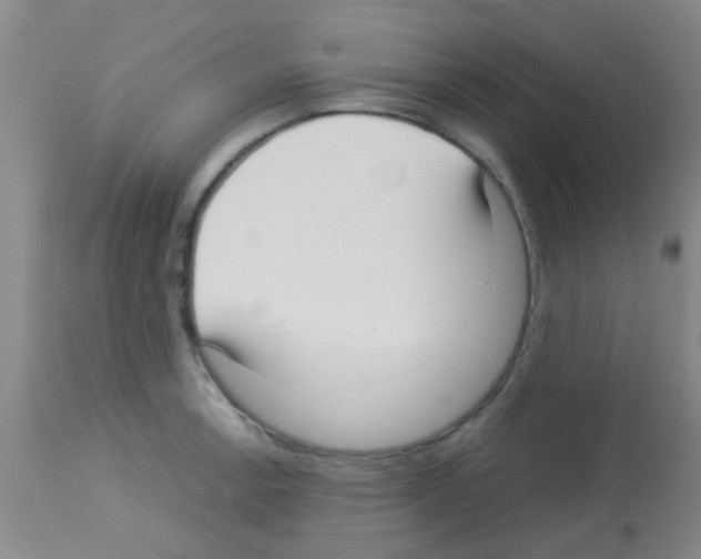 X0000113141138200910161150