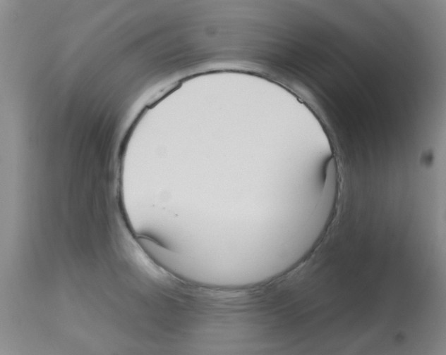 X0000113141140200910161150