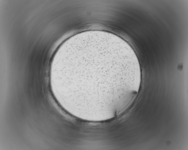 X0000113141142200910161150