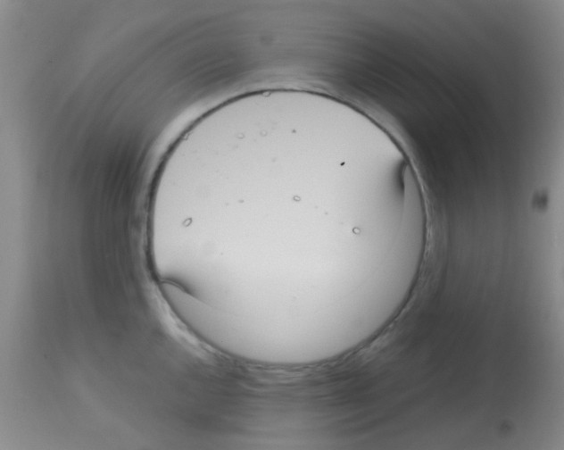 X0000113141144200910161150