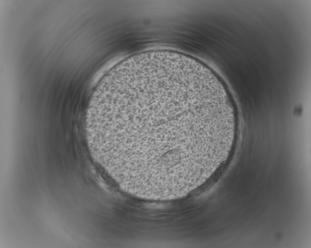 X0000113141145200910161150