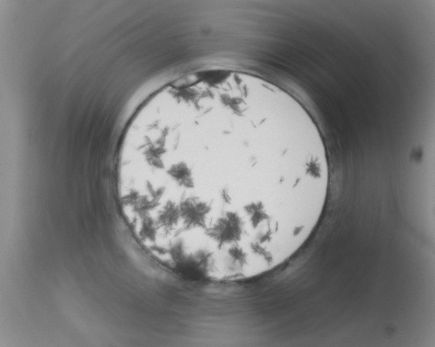X0000113141146200910161150