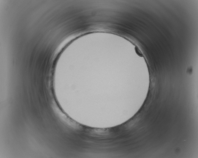 X0000113141147200910161150