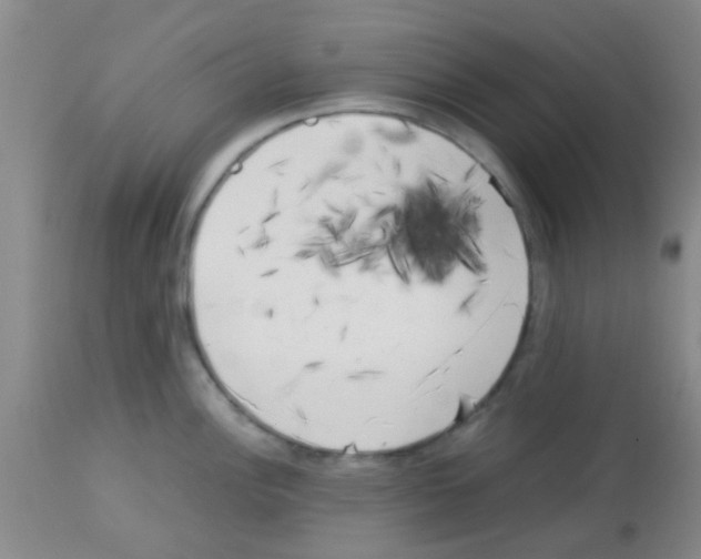 X0000113141148200910161150