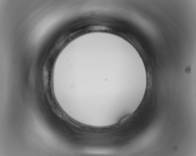 X0000113141151200910161150