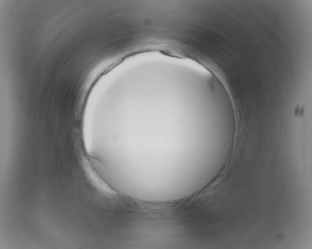 X0000113141152200910161150