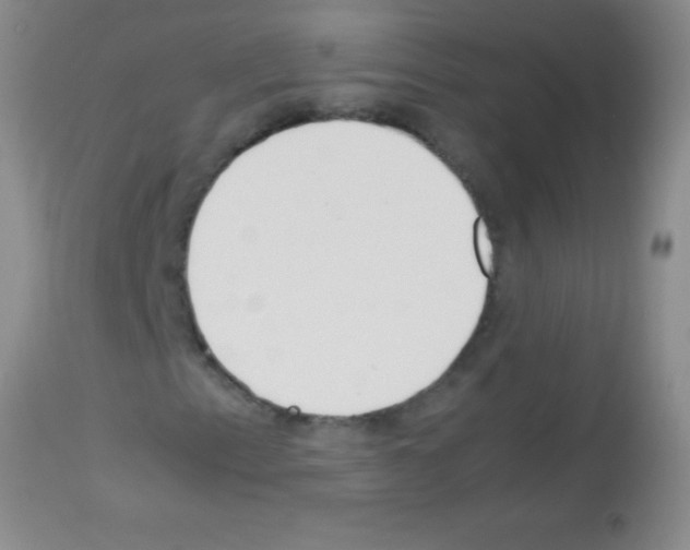 X0000113141153200910161149