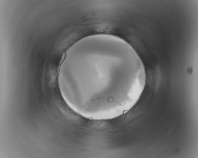 X0000113141154200910161149