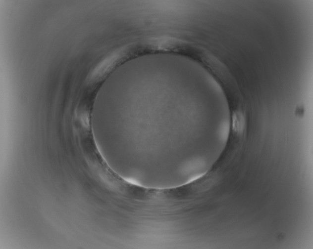 X0000113141155200910161149
