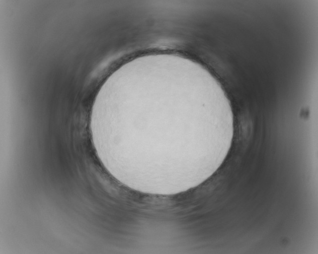 X0000113141158200910161149