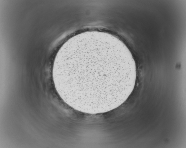X0000113141159200910161149