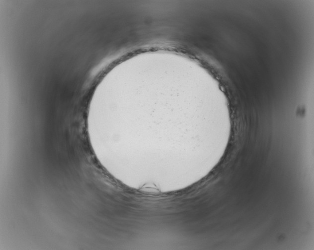 X0000113141160200910161149