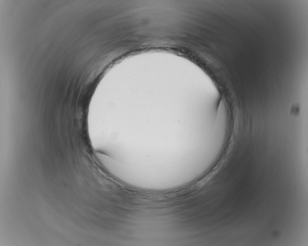 X0000113141161200910161149