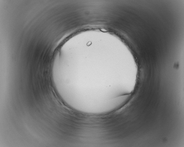X0000113141162200910161149