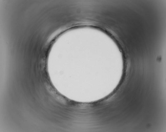 X0000113141163200910161149