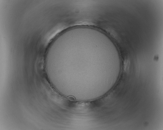 X0000113141165200910161149