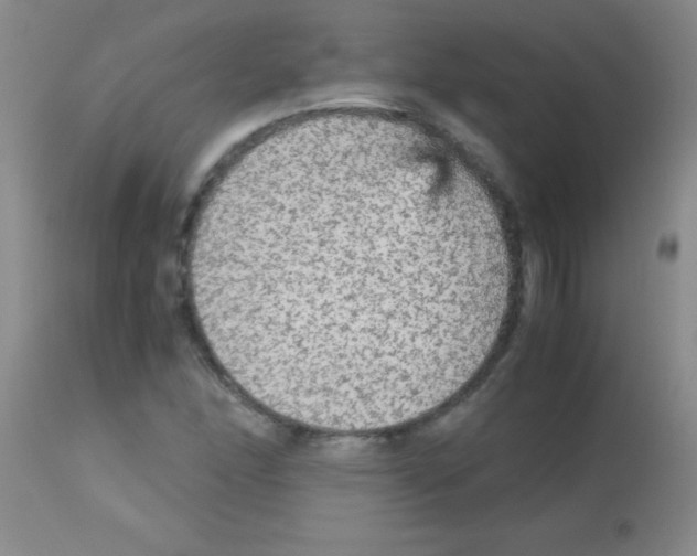 X0000113141166200910161149
