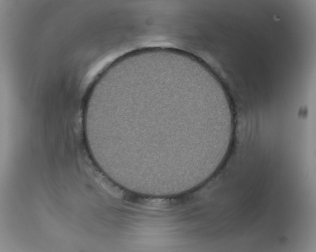 X0000113141167200910161149