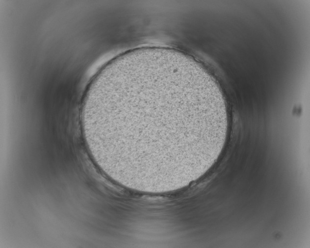 X0000113141168200910161149