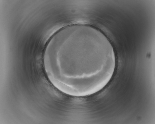 X0000113141170200910161149