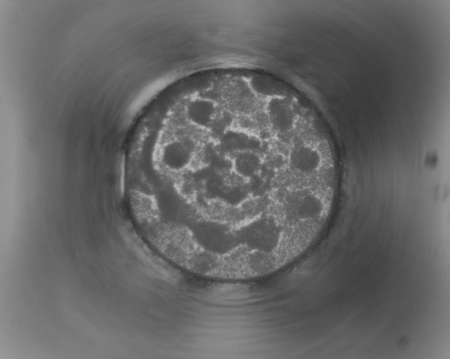 X0000113141171200910161149