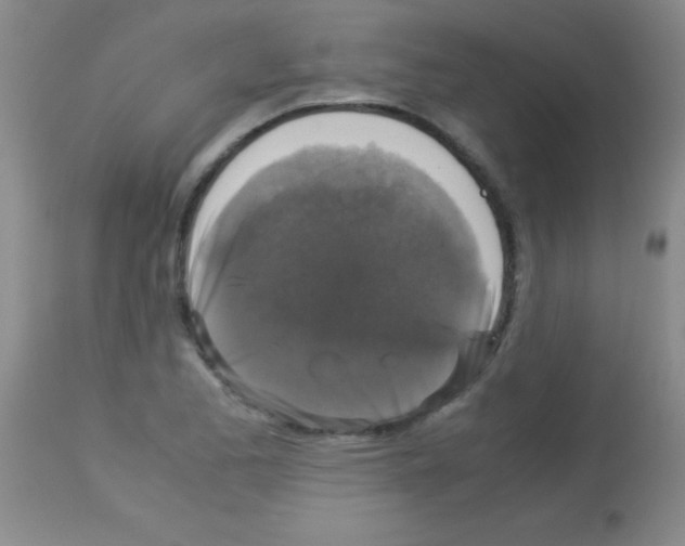 X0000113141173200910161149