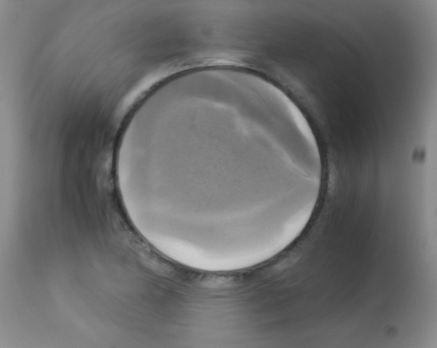 X0000113141174200910161149