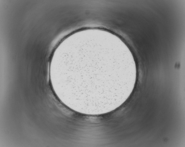 X0000113141175200910161149