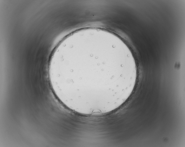 X0000113141176200910161149