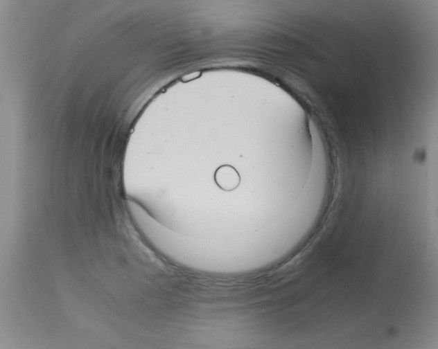 X0000113141177200910161149