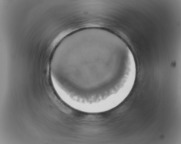 X0000113141179200910161149