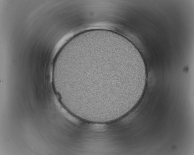 X0000113141180200910161149
