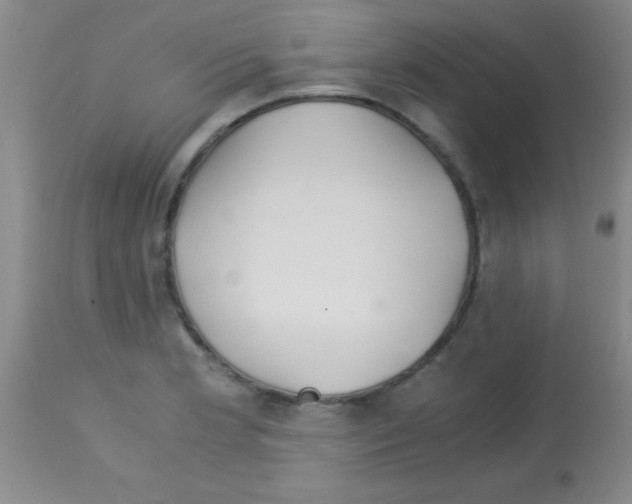 X0000113141181200910161149