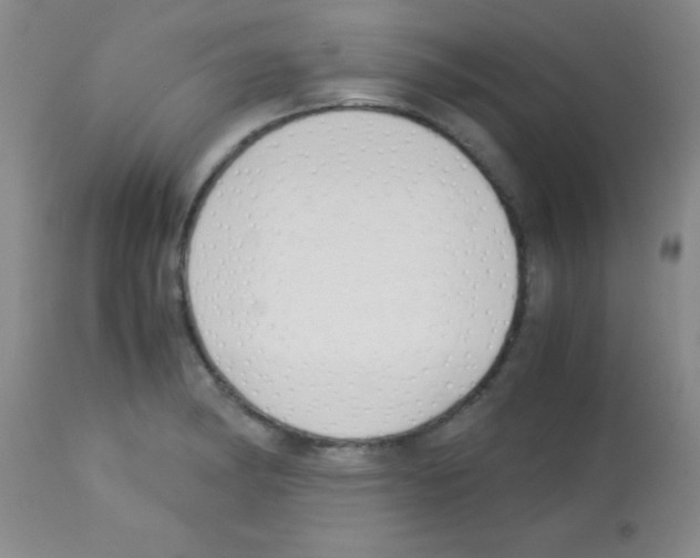 X0000113141182200910161149