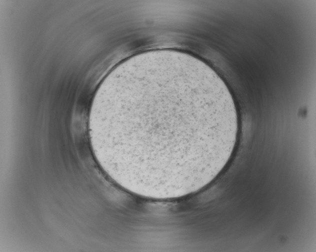X0000113141185200910161149