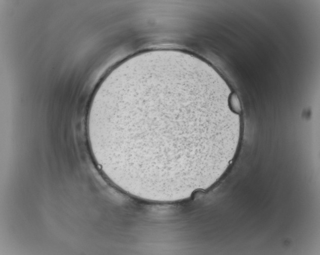 X0000113141189200910161149