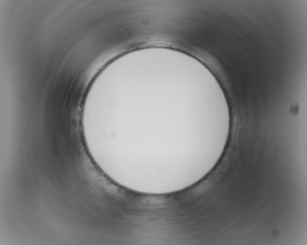 X0000113141190200910161149