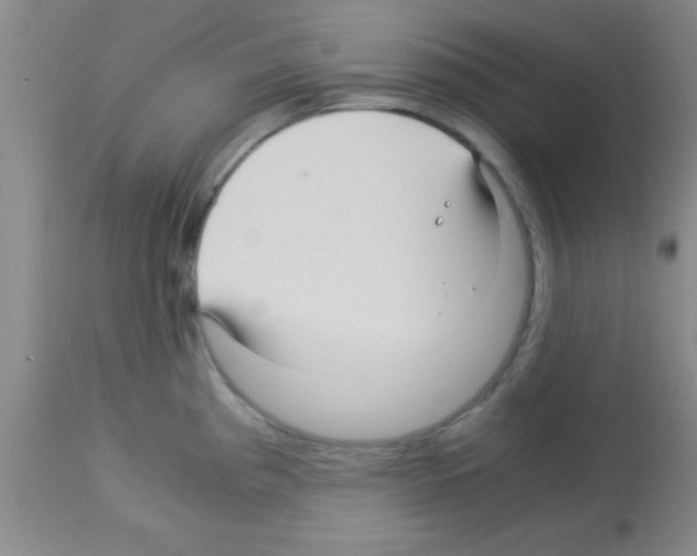 X0000113141193200910161149