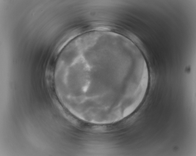 X0000113141194200910161149