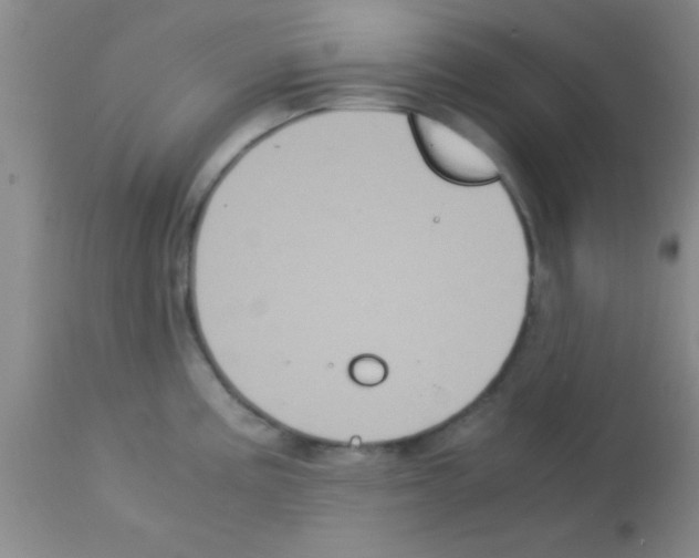 X0000113141195200910161148