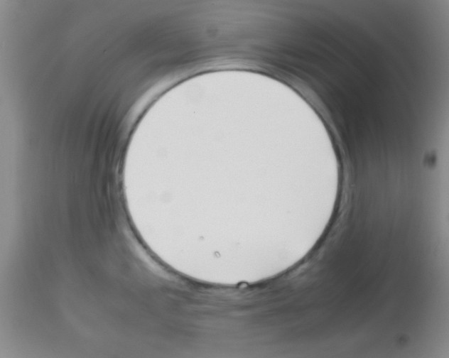 X0000113141197200910161148